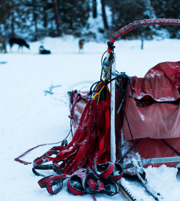 A dog sled ready for the team.