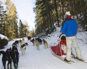 Passing on a wide trail.